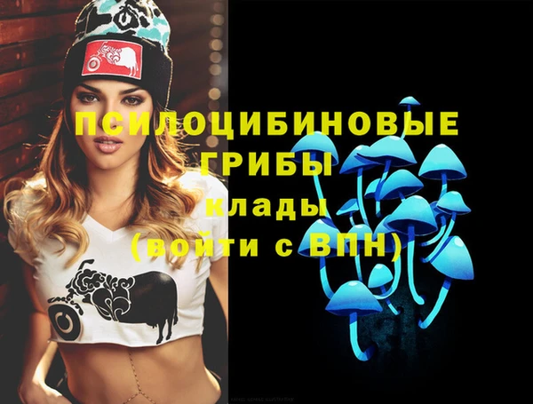 прущие грибы Алексин
