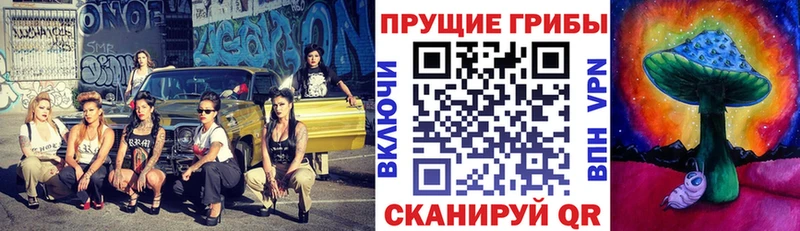 Галлюциногенные грибы GOLDEN TEACHER  где купить   Заполярный 